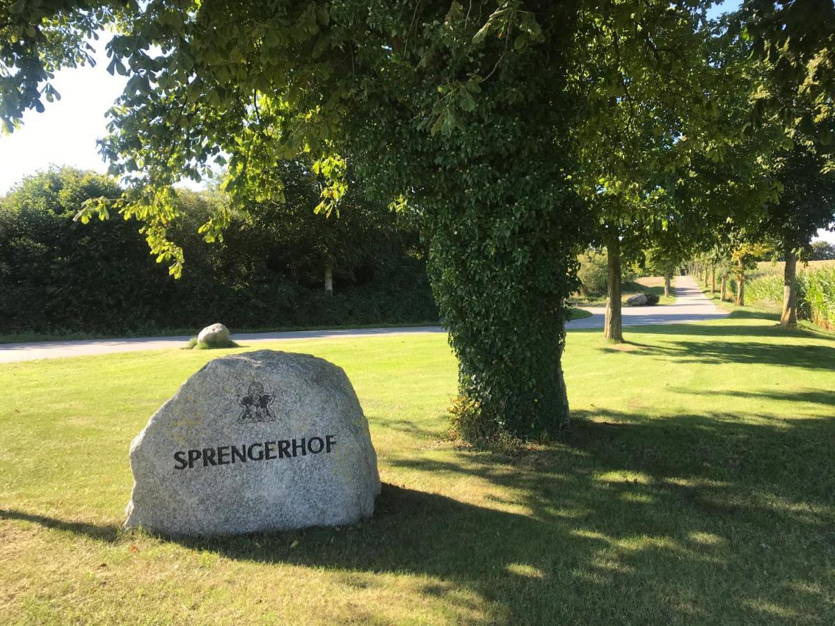 Schmuckstueck In Ostseenaehe Surendorf المظهر الخارجي الصورة