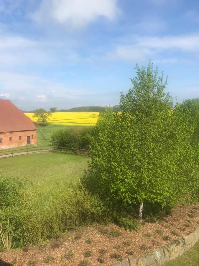 Schmuckstueck In Ostseenaehe Surendorf المظهر الخارجي الصورة